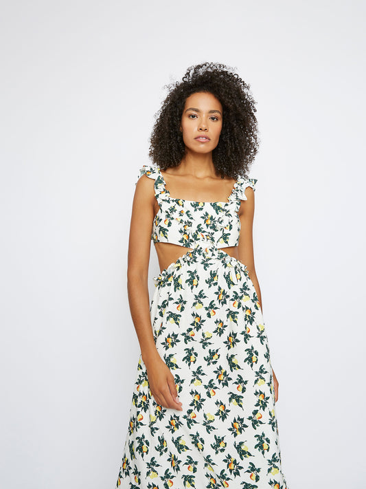 Lemon and Pear Print Maxi Dress