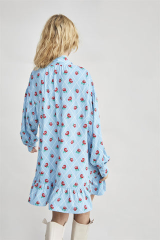 Rose Trellis Bow Front Mini Dress