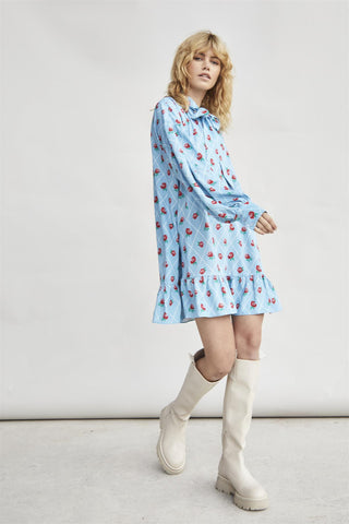 Rose Trellis Bow Front Mini Dress