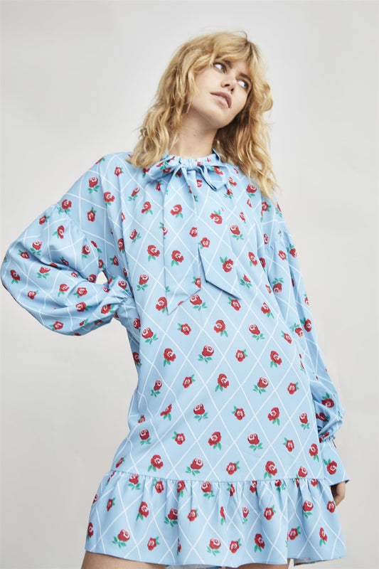 Rose Trellis Bow Front Mini Dress