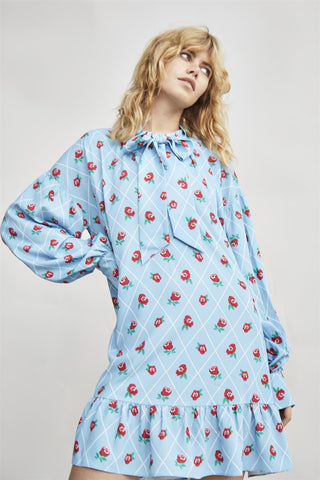 Rose Trellis Bow Front Mini Dress