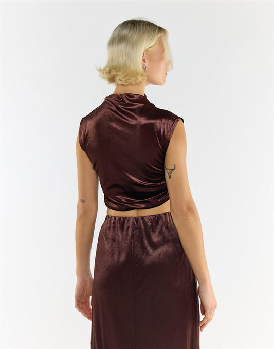 Brown Velvet Sleeveless Mock Neck Crop Top