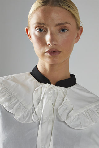 White Collared Shirt