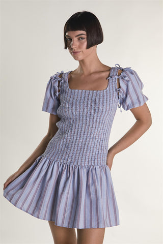 Blue Check Stripe Mini Dress with Bow Sleeves