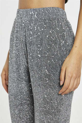 Silver-Sequin Plisse  Flared-Trousers