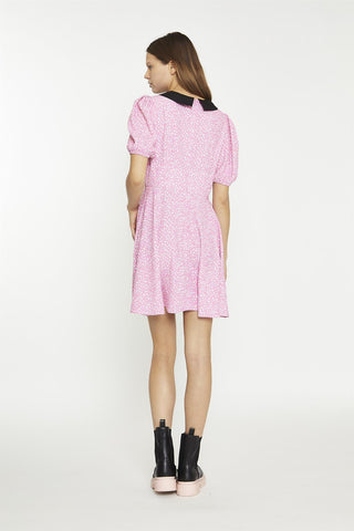 Pink-Multi-Leopard-Black Contrast-Collar-Skater Mini-Dress